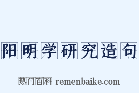 阳明学研究造句是什么意思的图片